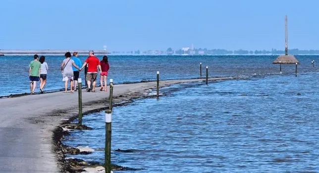 Camping Notre-Dame-de-Monts - CampingDirect - Image n°2