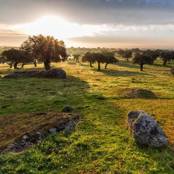 Campeggi Piemonte - AlCampeggio - Immagine n°1