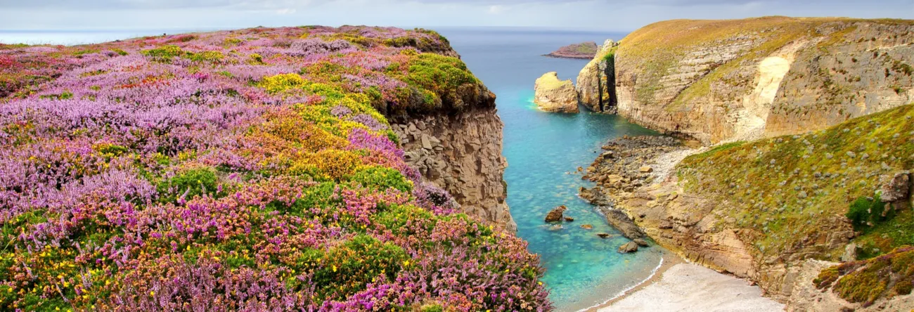 Panoramasicht auf Cap Frehel in der Bretagne