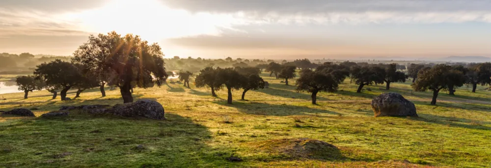 Morgendämmerung in der Dehesa de Arroyo de Luz in der Extremadura in Spanien