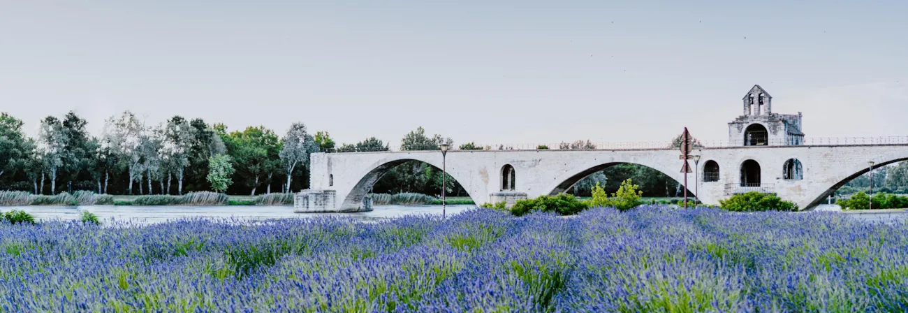 Pont d'Avignon - Vaucluse