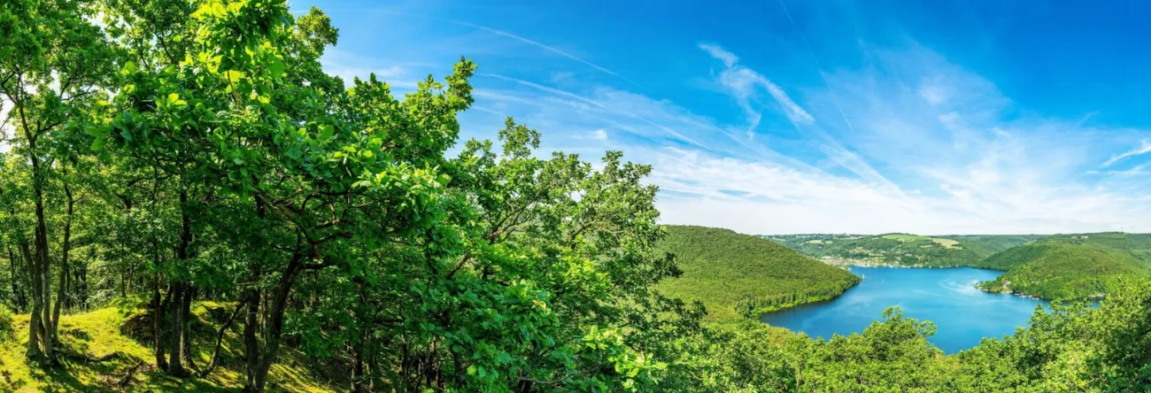 Panoramabild der Eifellandschaft