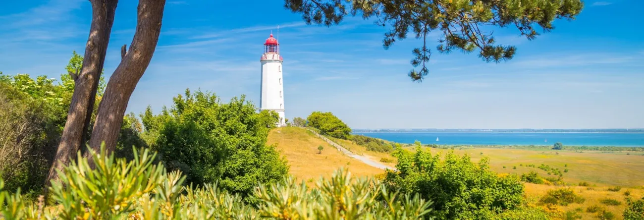 Landschaftsaufnahme rund um den Leuchtturm auf der Insel Hiddensee an der Ostsee