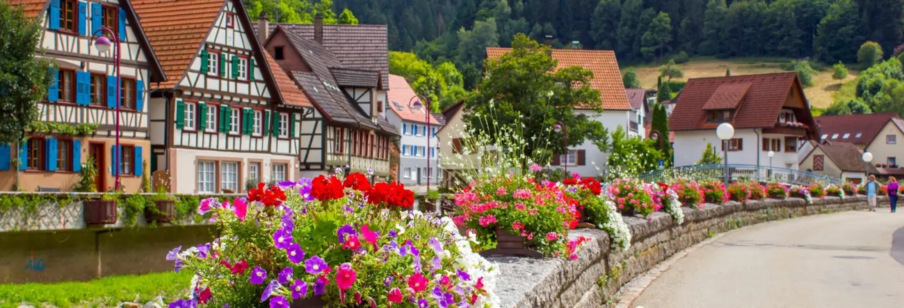 Fachwerkhäuser in einem Ort im Schwarzwald