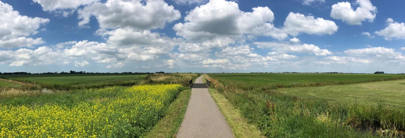 Blühendes Wiesenpanorama in Friesland, Niederlande