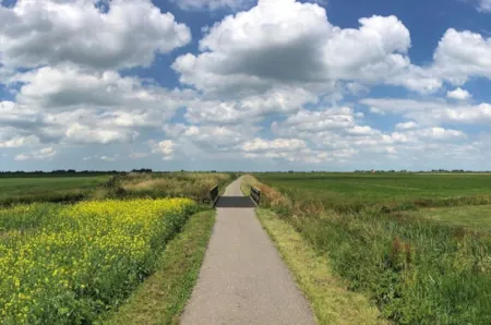 Blühendes Wiesenpanorama in Friesland, Niederlande