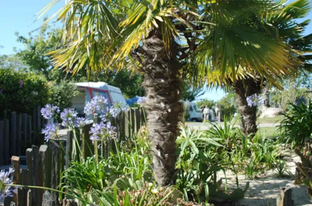 Camping les Embruns - Finistère