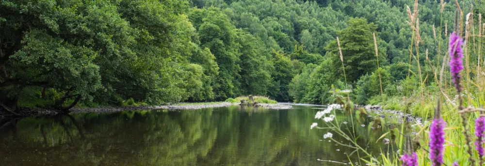 Camping Floreal La Roche En Ardenne 
