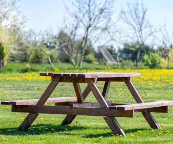 Picknicktisch auf einer grünen Wiese mit gelben Blumen