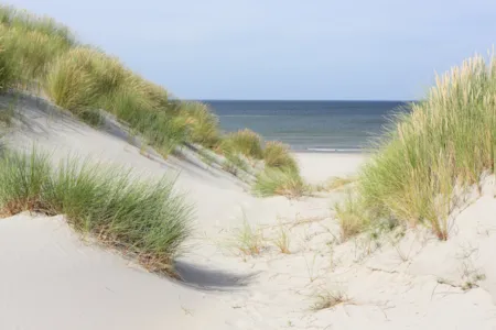 Ameland dans la province de Frise