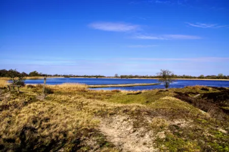 Paysage à Drenthe aux Pays-Bas