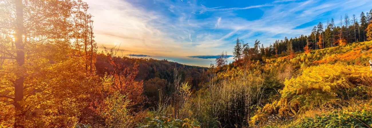 Vallée Hoegne, Ardennes Belges