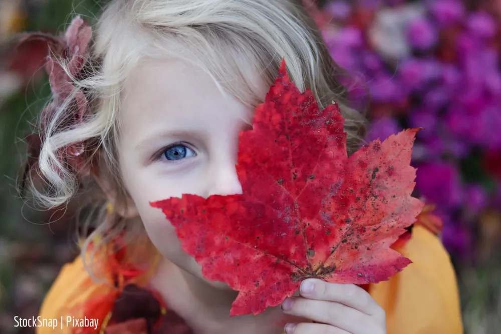 Kind hält herbstlich gefärbtes Blatt vor sein Gesicht