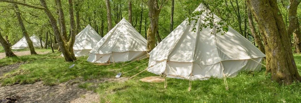 Glamping-Zelte im Wald