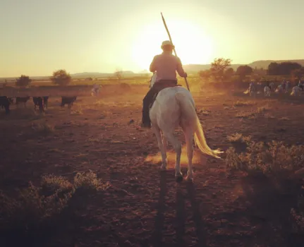 Jeu concours Instagram : Domaine de Massereau - CampingDirect - Image n°1