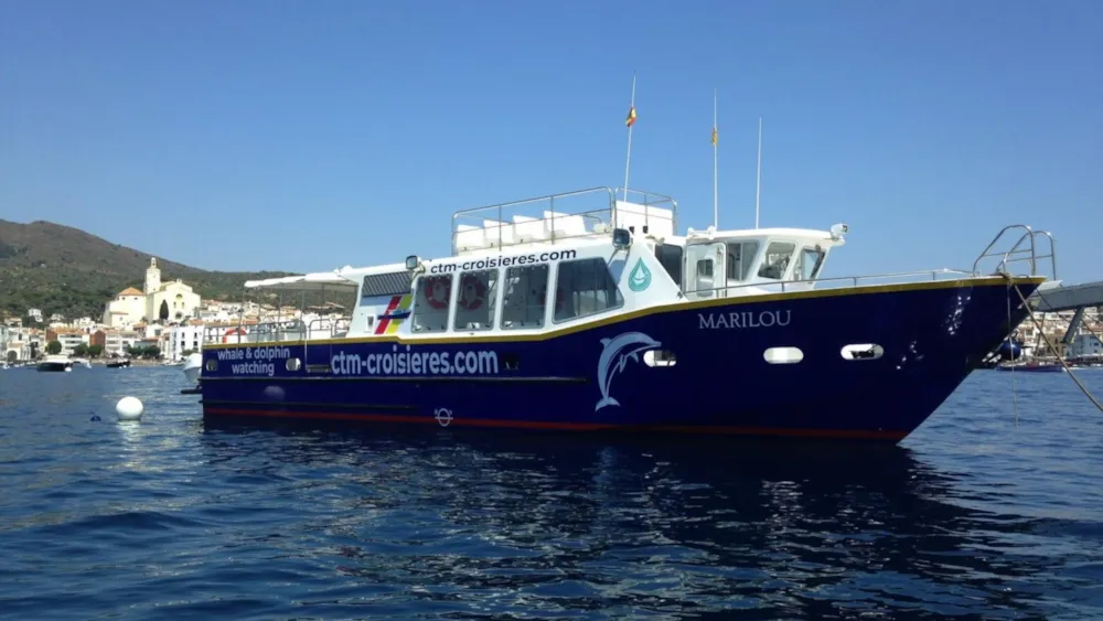 Ausflugsboot auf dem Meer mit Küstendorf im Hintergrund