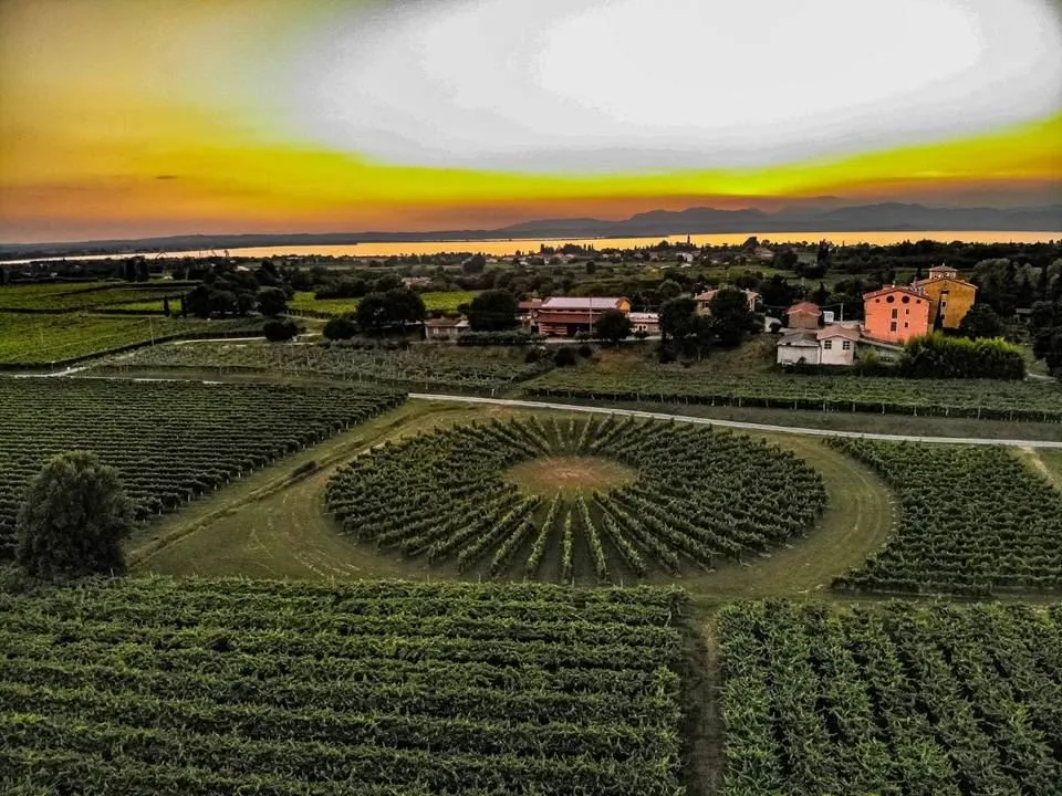 Blick auf Weingut