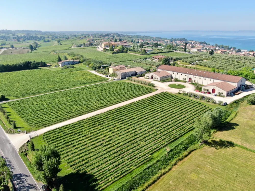 Weingut von oben