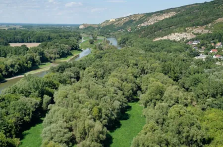 Camping à la campagne