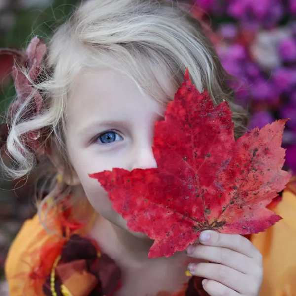 Kind hält herbstlich gefärbtes Blatt vor sein Gesicht
