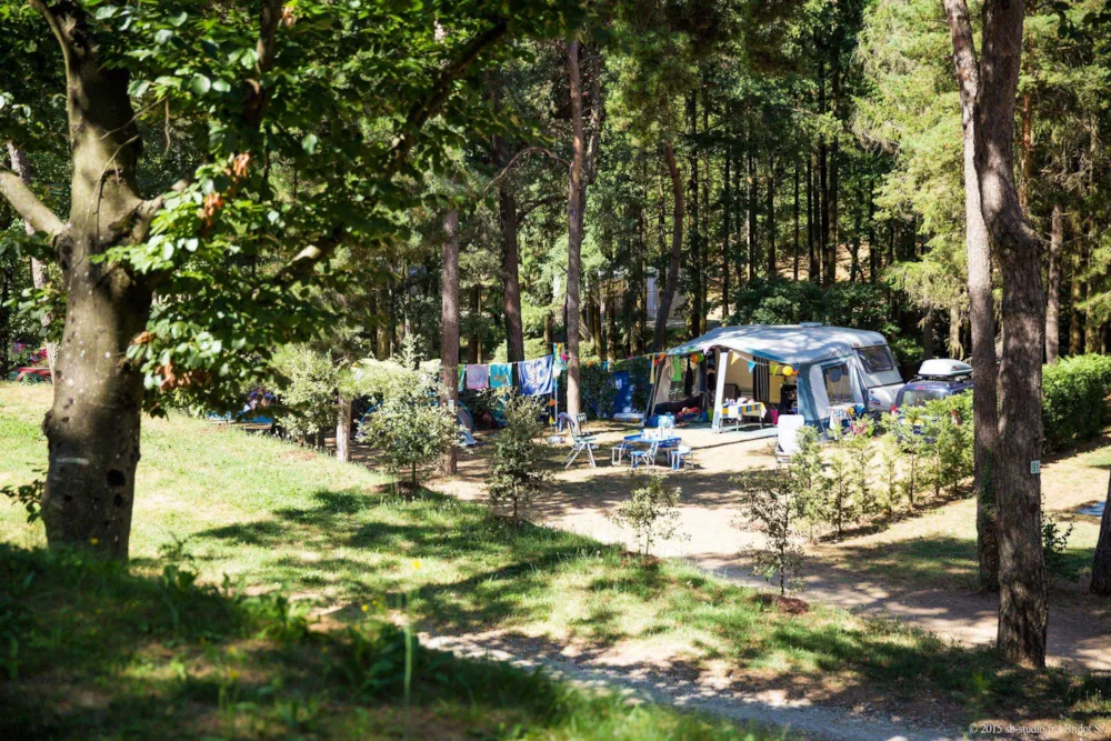 XL-Stellplatz im Grünen
