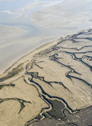 Photo de la baie de Somme, en France
