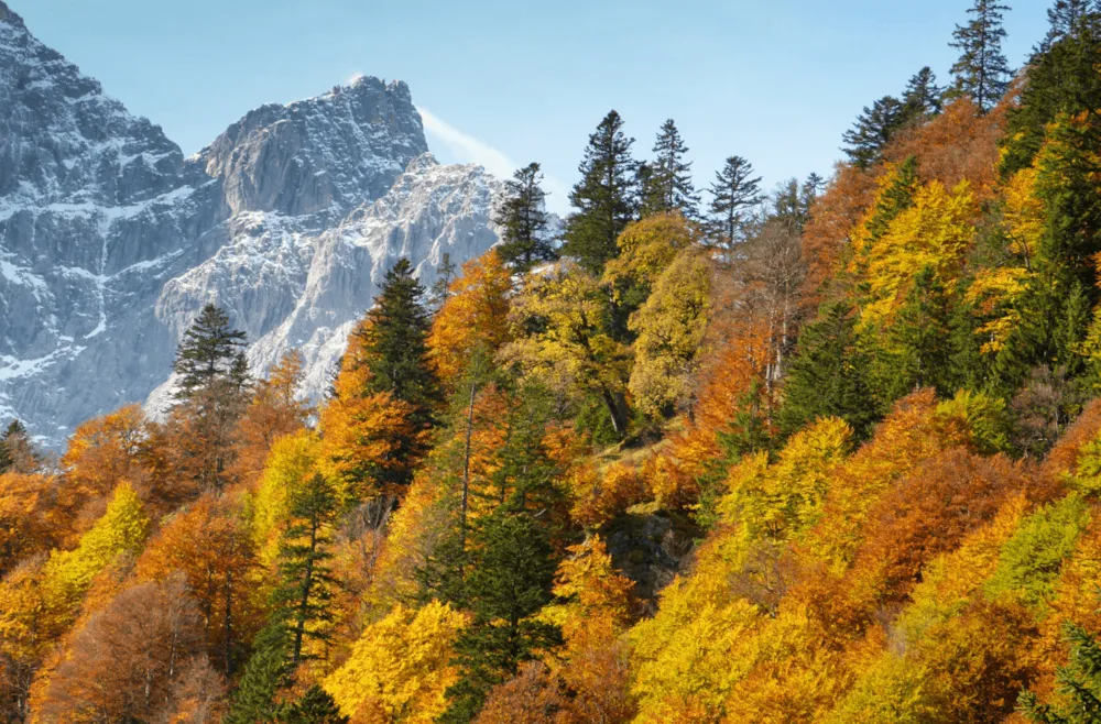 Herbstliche Landschaft in Tirol mit Bergpanorama und buntgefärbten Wäldern