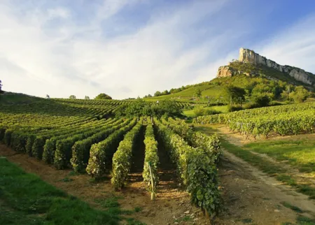 La via del vino, dormire tra i vigneti in Francia - CampingDirect - Immagine n°1