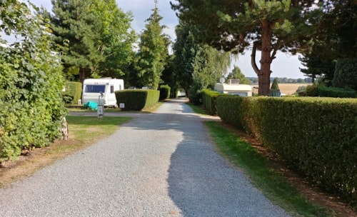 Camping Druivenland - 