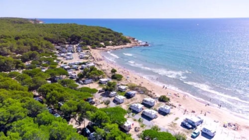 Camping Las Palmeras - Catalogna