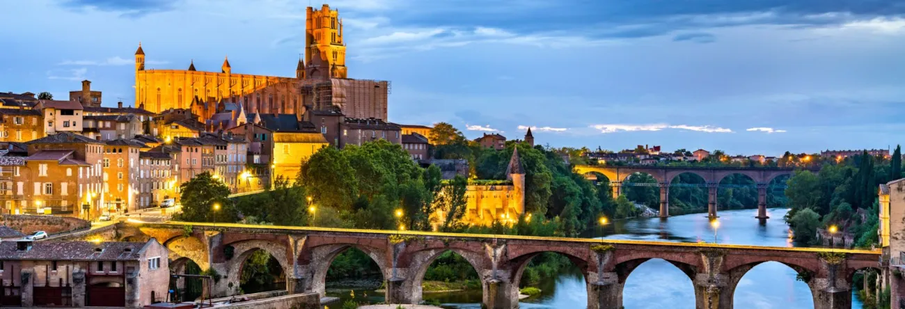 Blick auf die am Fluss Tarn liegende Stadt Albi mit ihrer imposanten Kathedrale