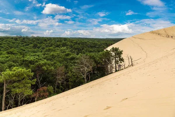 Dune of Pyla - CampingDirect