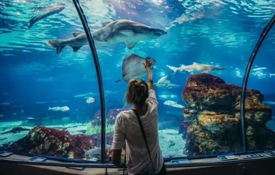 Aquarium - Camping Direct