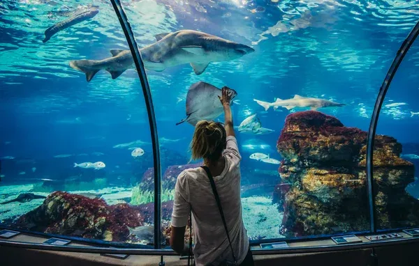 Aquarium - Camping Direct