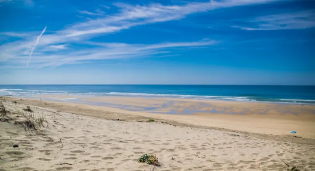 Campeggi Biscarrosse - CampingDirect - Immagine n°2