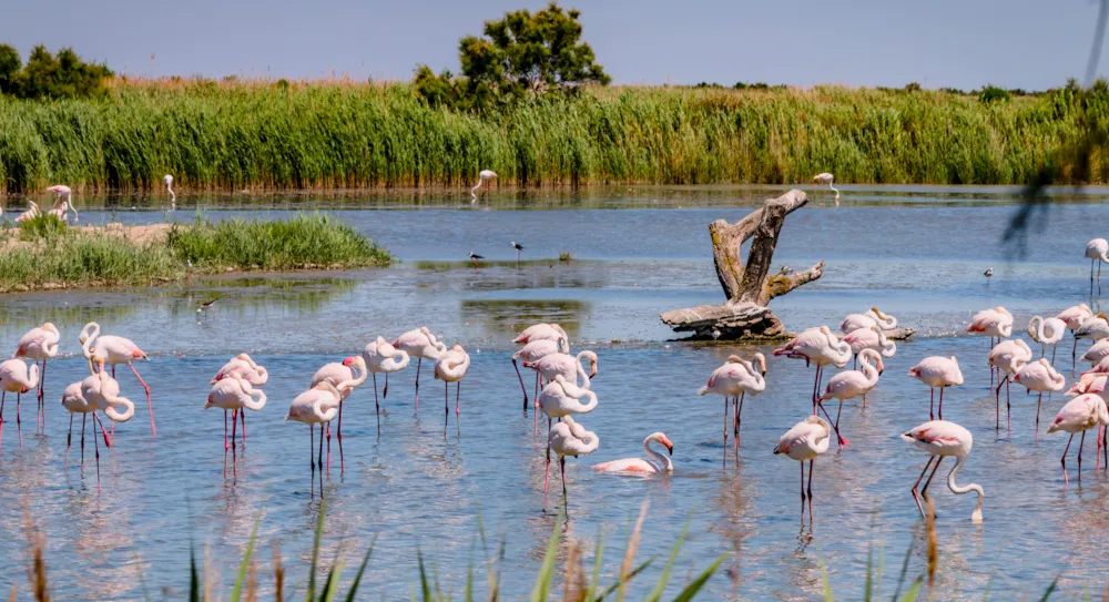 Top 10 des parcs naturels français - CampingDirect