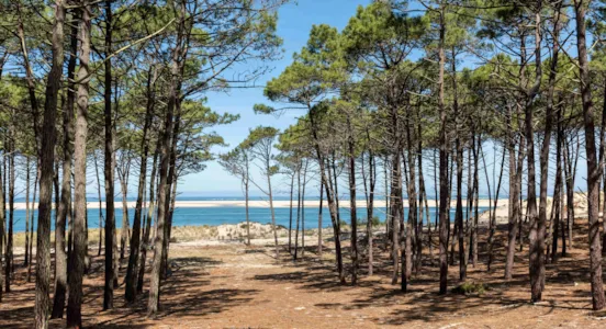 Camping Arcachon - CampingDirect - Image n°1