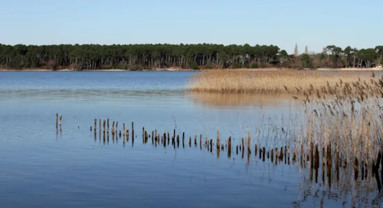 Camping Sanguinet - CampingDirect - Image n°1