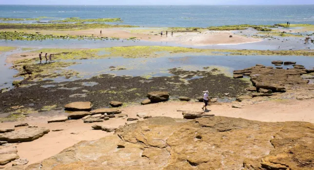 Camping Jard-sur-Mer - CampingDirect - Image n°2