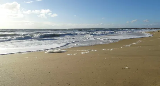 Camping Longeville-sur-Mer - CampingDirect - Image n°1