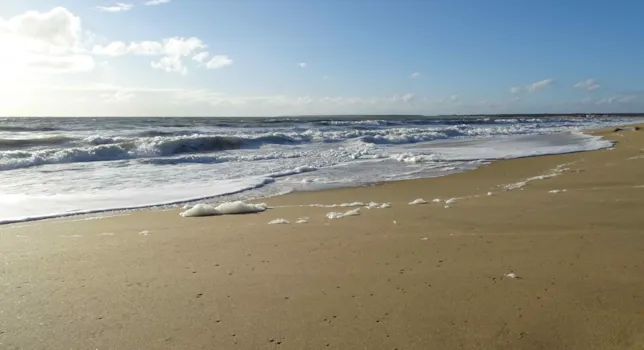 Camping Longeville-sur-Mer - CampingDirect - Image n°2