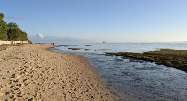 Nos campings à Arès - CampingDirect - Image n°2