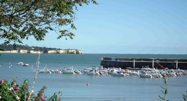 Camping Saint-Georges-de-Didonne - CampingDirect - Image n°2