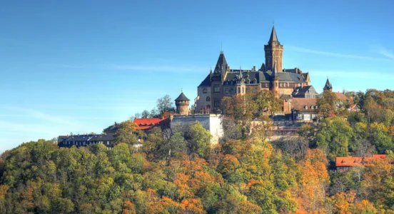 Camping im Harz - CampingDirect - Bild n°1