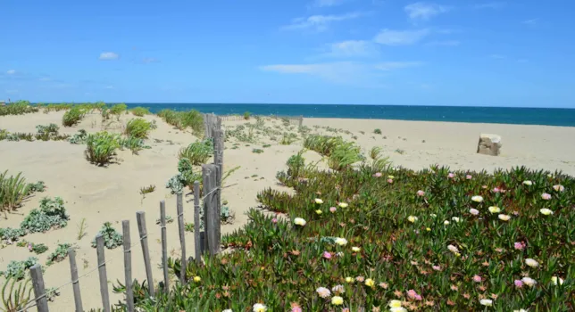 Camping Torreilles - CampingDirect - Image n°2