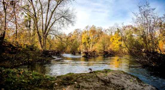 Camping Marne - CampingDirect - Bild n°1