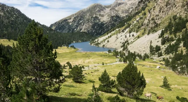 Campeggi nella provincia di Lleida - CampingDirect - Immagine n°2