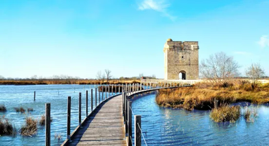 Campeggi Camargue Gardoise - CampingDirect - Immagine n°1