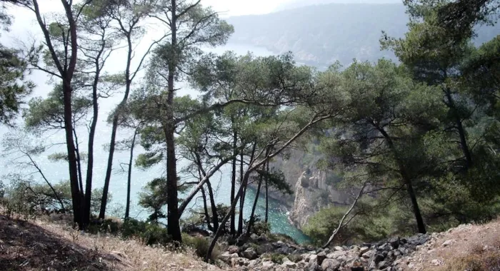 Campeggi a Bandol - CampingDirect - Immagine n°2