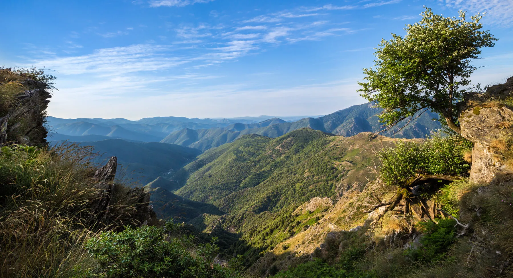 Cévennes - Camping Direct